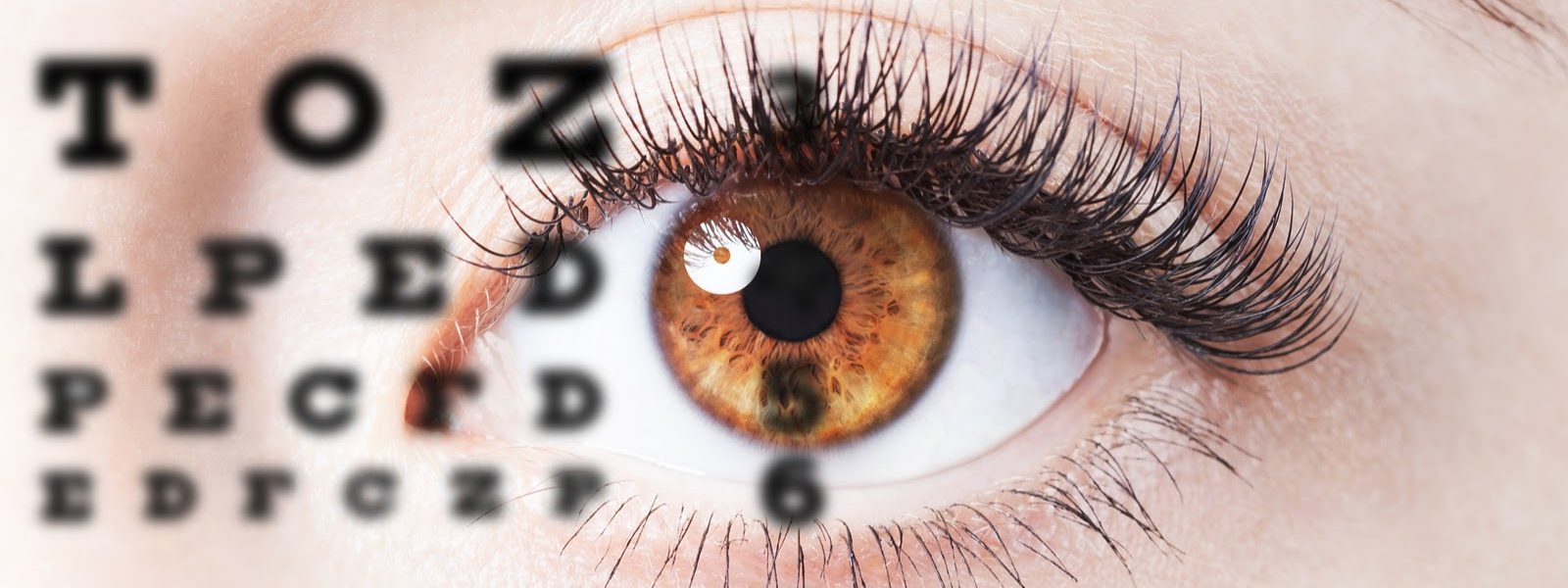 Vision Wellness: Nurturing Your Eye Health